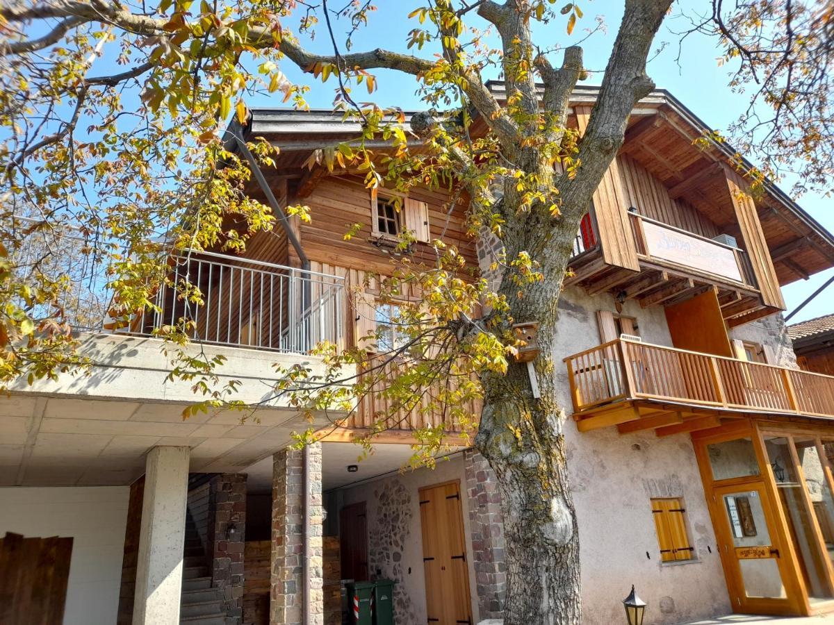 B&B Chalet Dolomiti Sant'Orsola Luaran gambar