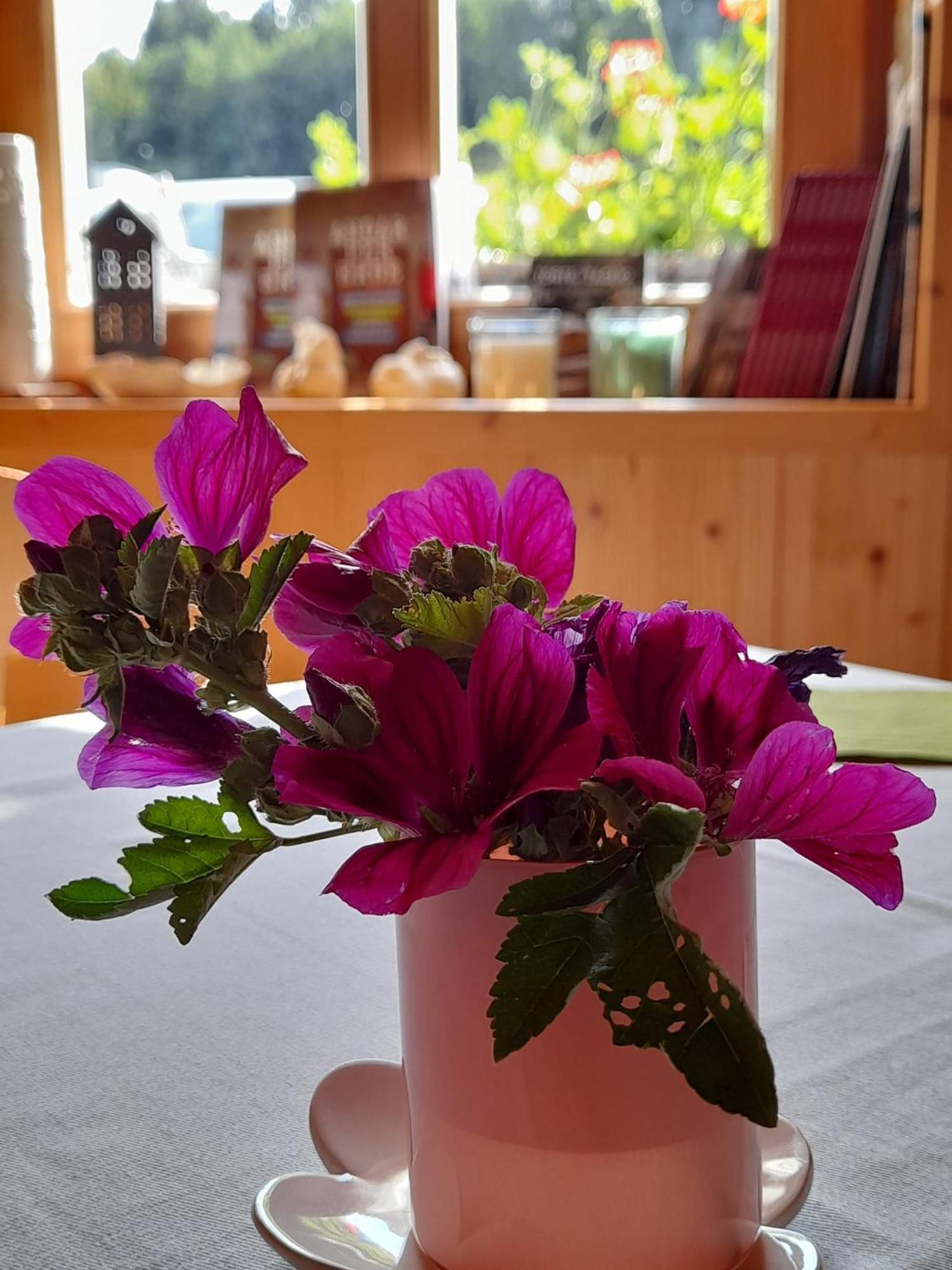B&B Chalet Dolomiti Sant'Orsola Luaran gambar